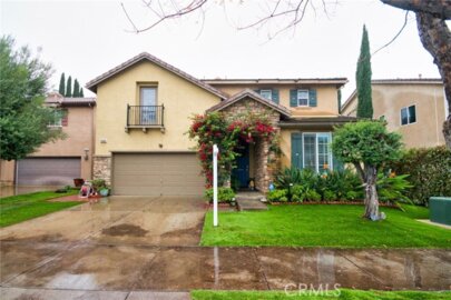 25465 Hyacinth Photo