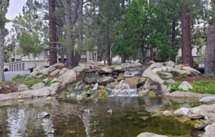 Delightful Newly Listed Pheasant Creek Condominium Located at 20702 El Toro Road #318