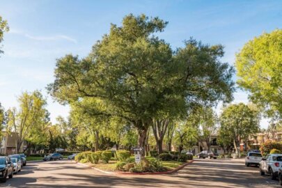 4800 Williamsburg Lane #228 Photo