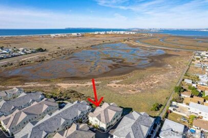 502 Surfbird Lane Photo