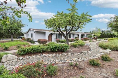 3518 Pear Blossom Photo