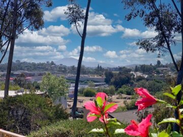 5430 Baltimore Drive #40 Photo