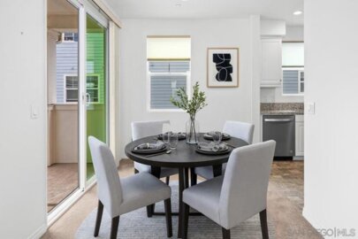 513 Sanderling Photo