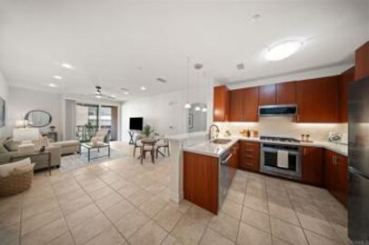 Extraordinary Park Blvd East Condominium Located at 1225 Island Avenue #503 was Just Sold