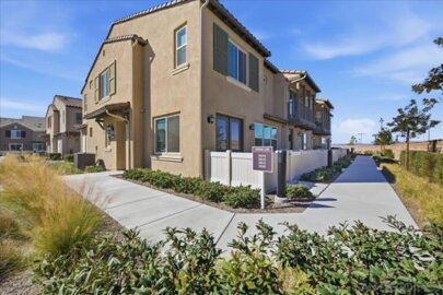 39319 Corvina Photo