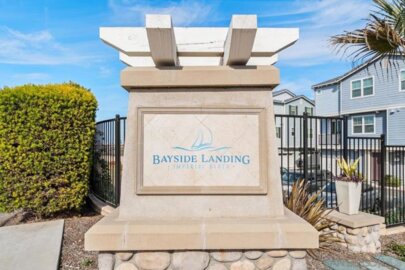 511 Sanderling Photo