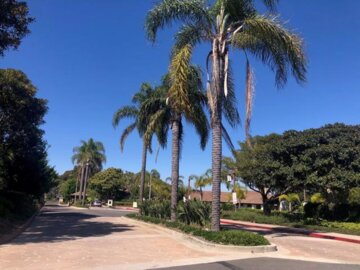 6645 Caminito Scioto Photo