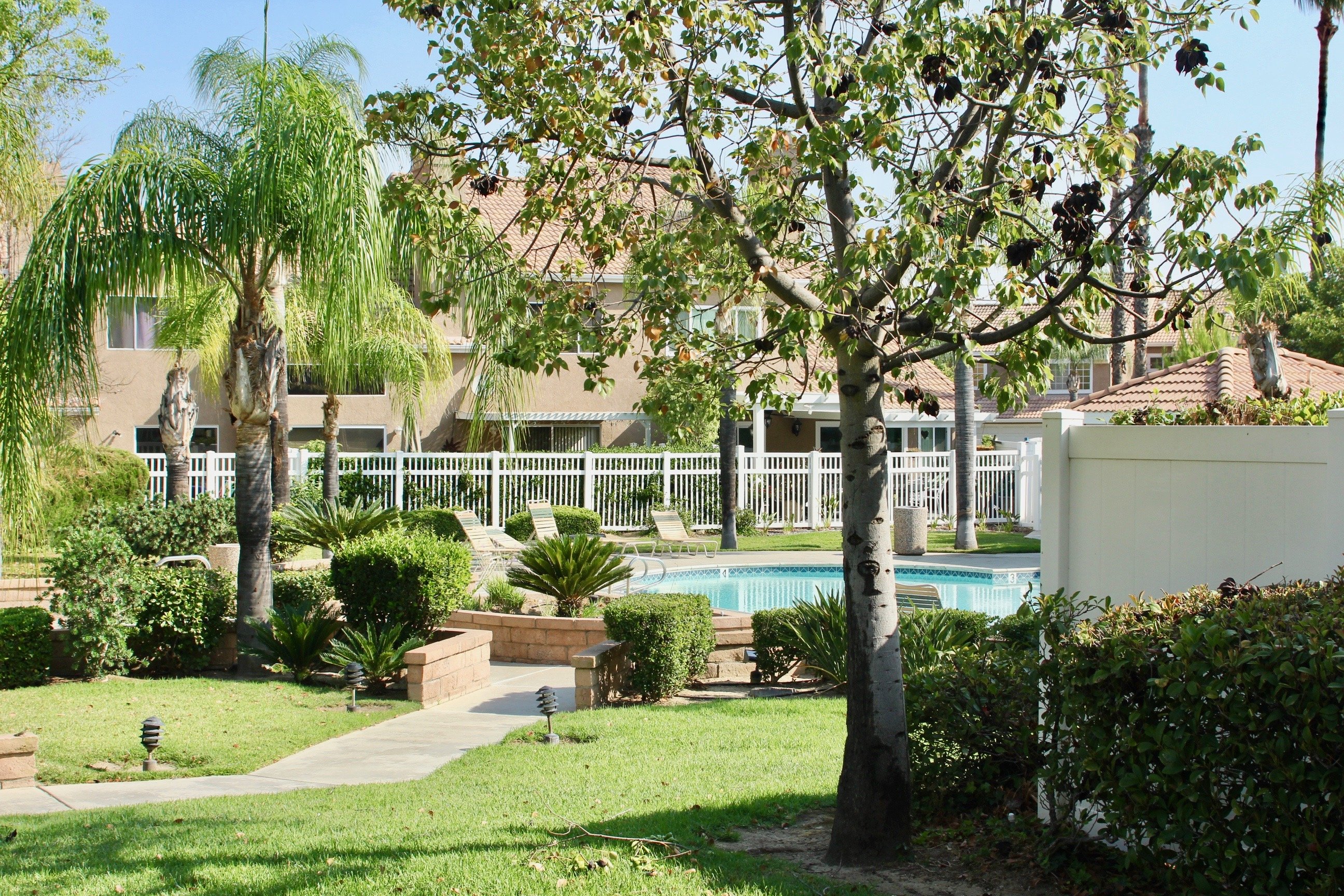 Bella Vista Condos, Lofts & Townhomes For Sale Bella Vista Real