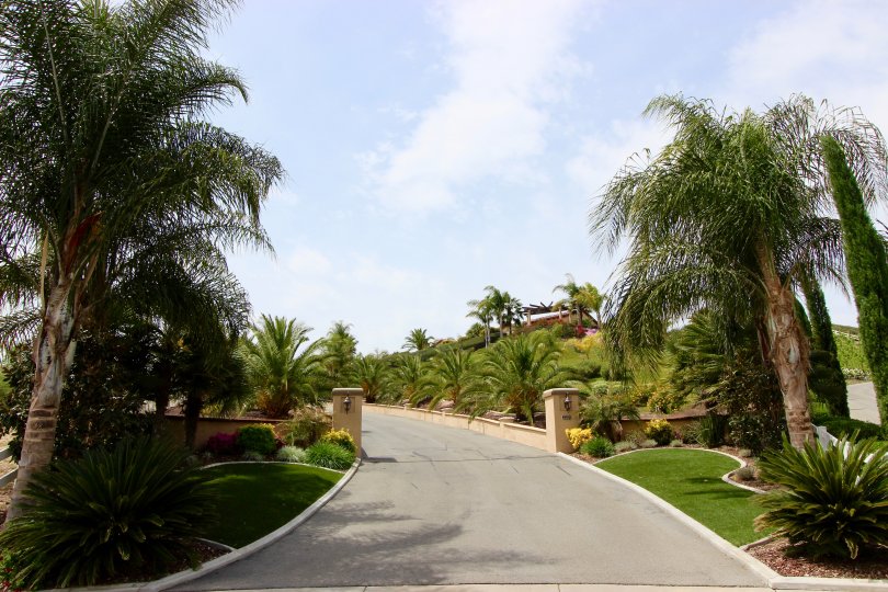 A long driveway leading to a private residence at The Reserve at Crowne Hill