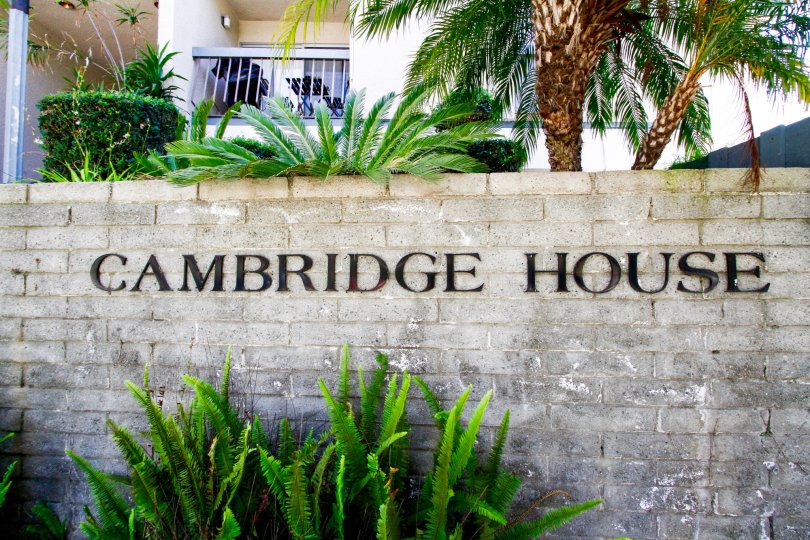 Cambridge House Culver City