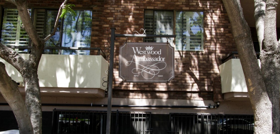 Westwood Ambassador Westwood