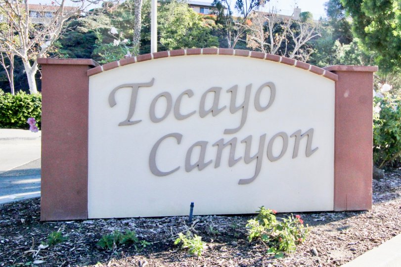 Tocayo Canyon San Clemente