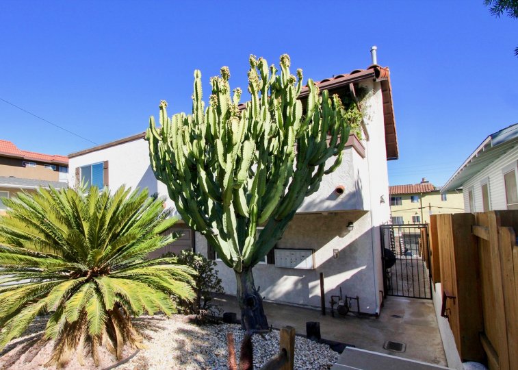 Chateau Centre Hillcrest