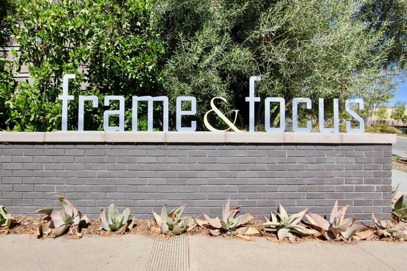 Frame and Focus Mission Valley