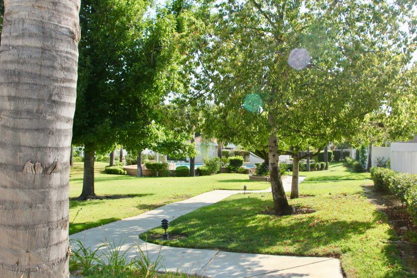 Beautiful tree gardens lead up to this community pool area at Bella Vista in Corona, California