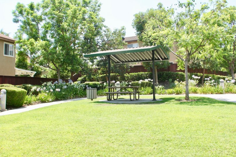 A sunny day in the Carlisle park with a bench, and walking path.