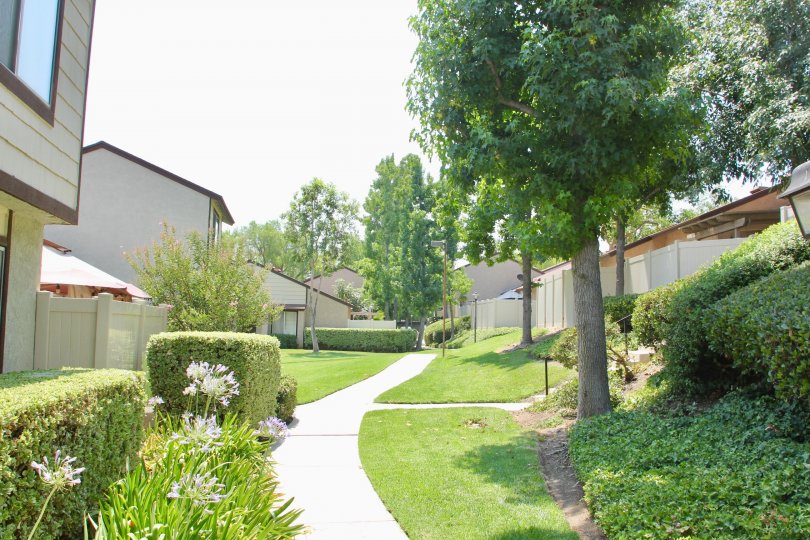 amazingly clean walk way surrounding by well mowed lawn at Laurelwood Community, Corona, California