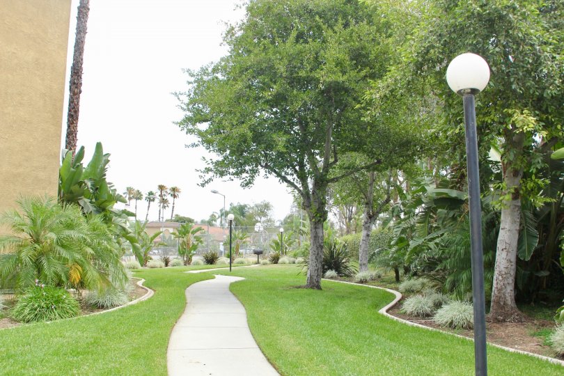Modern apartment complex featuring walking trails and clubhouse