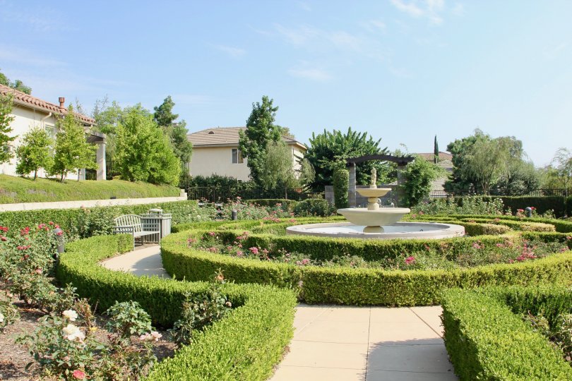A park with a water fountain in the middle around the trees