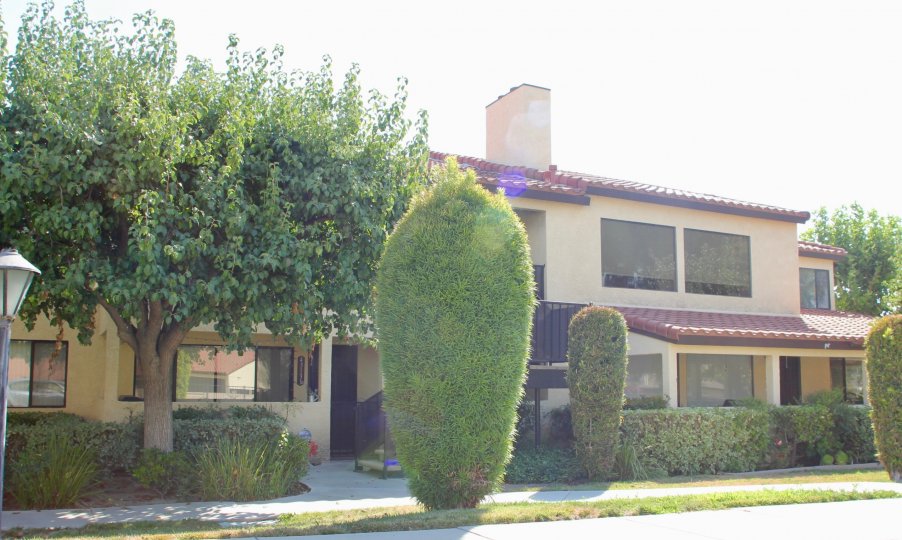 Three rounded tall bushes sit in the yard at the Lincoln View community.