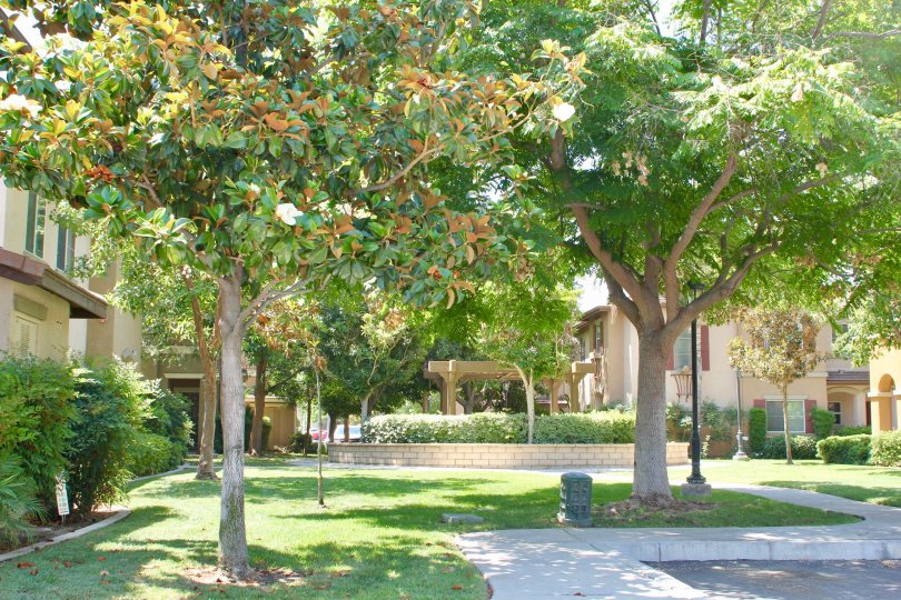 Park yard of Arboretum, Murrietta community, California