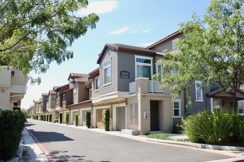 Townhome street to garages is decorated with tall grass, shrubs and trees for each townhome