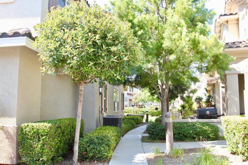 A leafy tree and shurb walkway between condows in this community area of the community