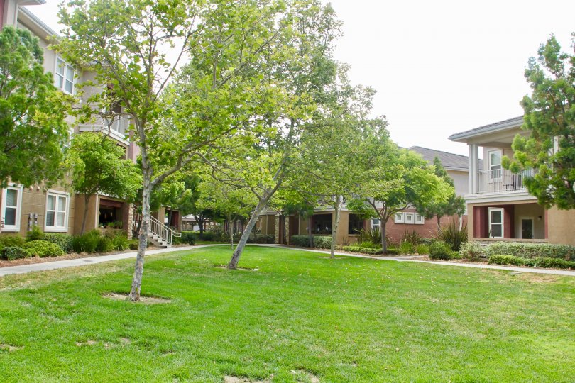 temecula creek village with large trees and a group of buildings
