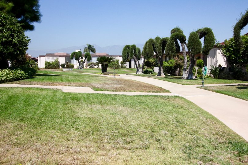 The yard in front of Alhambra Village Green