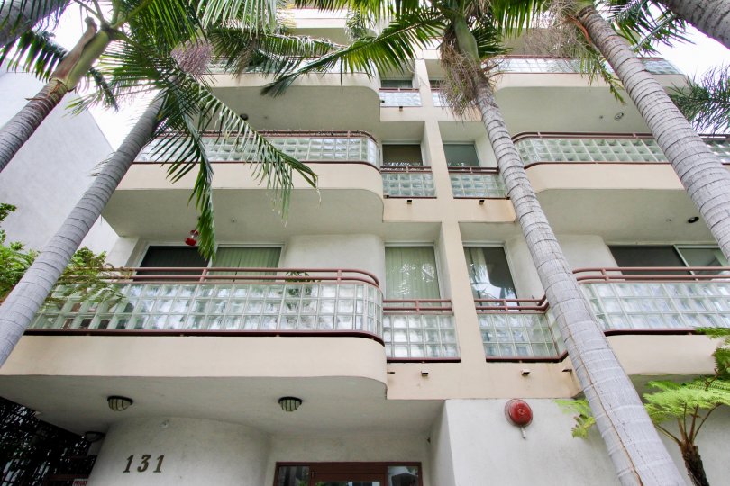 Building of more than three floors with high tropical palms that arrive until the fourth floor
