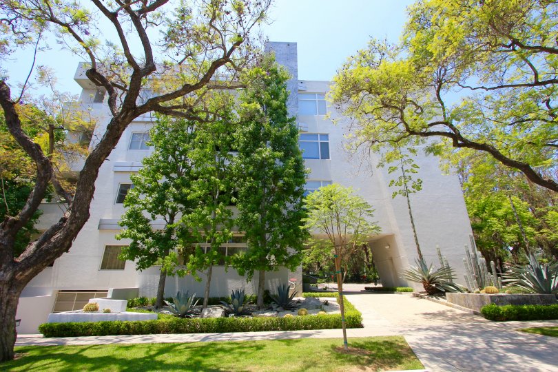 The building at 455 N Palm Dr in Beverly Hills
