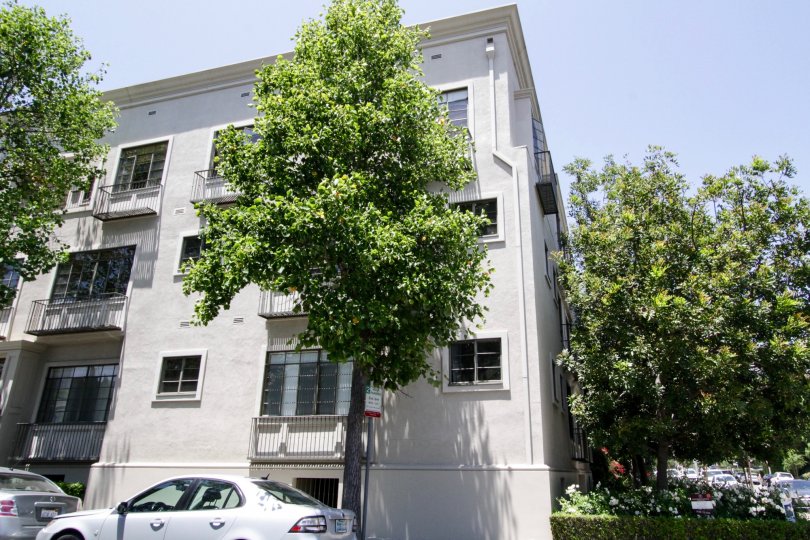 The trees around the building at 9601 Charleville