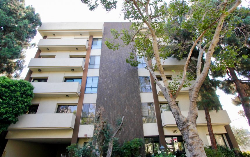 Wilshire swall is a gorgeous luxury complex featuring semi private balconies and well groomed trees