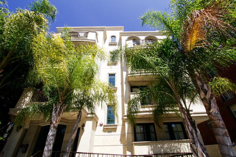 Palm trees shade the front of the Bianchi Villa condo building