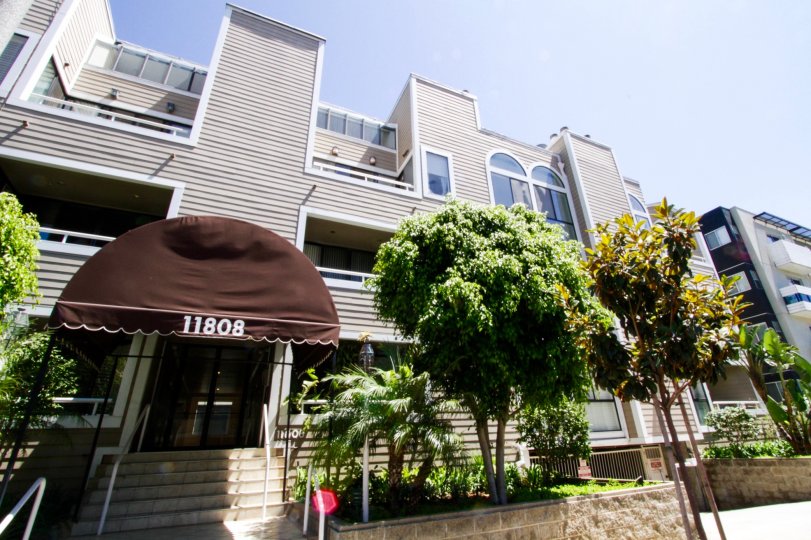 Dorothy Granville Condos in Brentwood