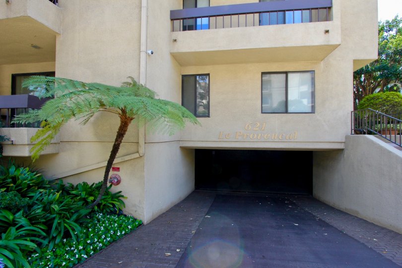Drivers at Le Provencal are welcomed by a palm tree and bright greenery at the entrance/exit to their garage.
