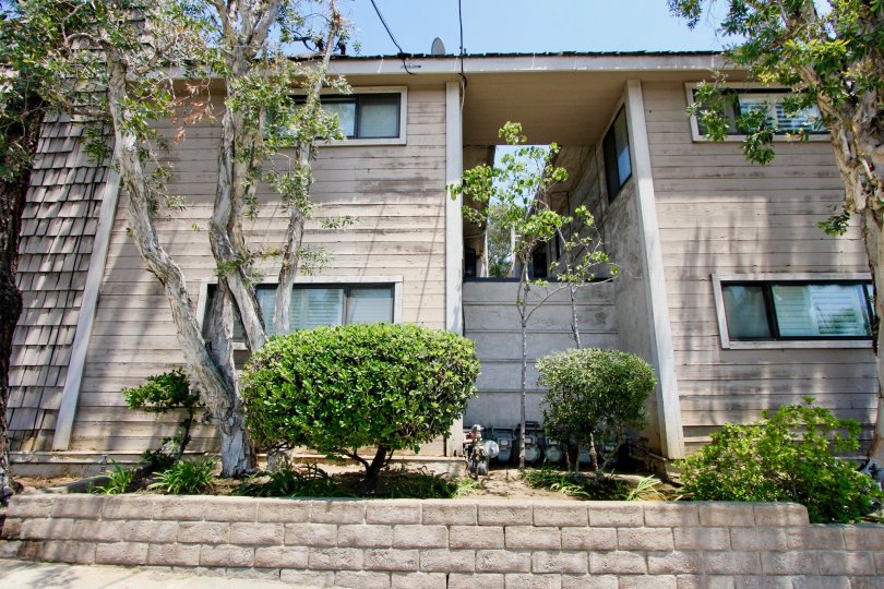 Trees and a grubby building at Parkview Terrace in Brentwood, California