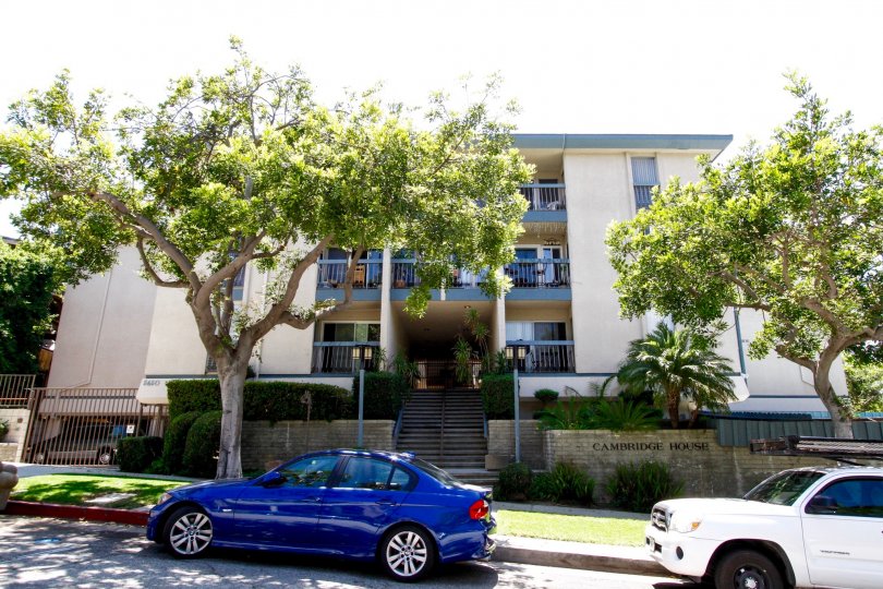 The sidewalk running in front of Cambridge House