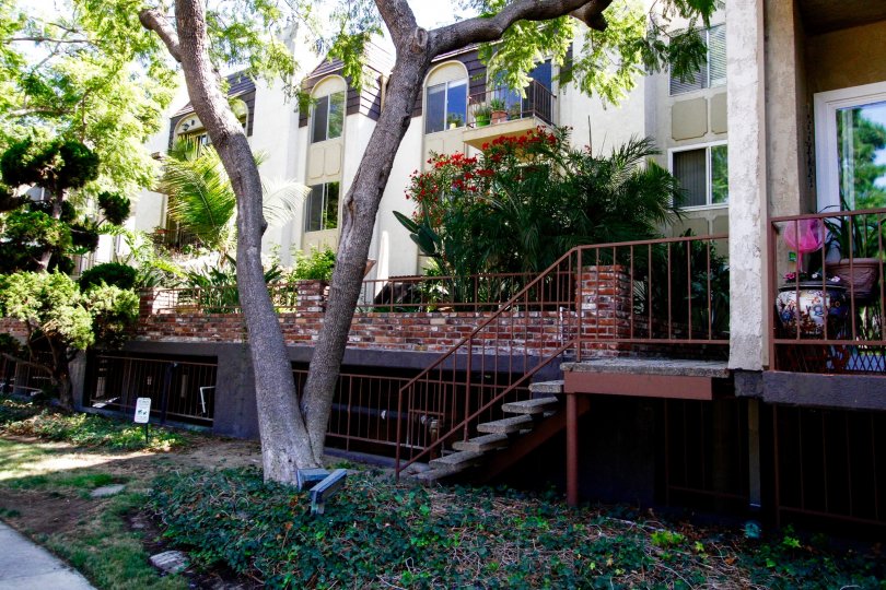 The landscaping at Green Valley Condominiums