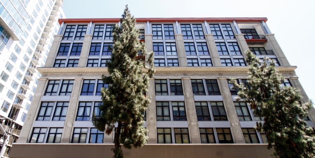 The trees that are seen around the Grand Lofts