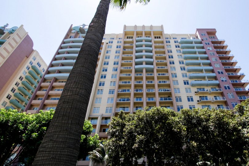 Large palm trees surround the Aqua property