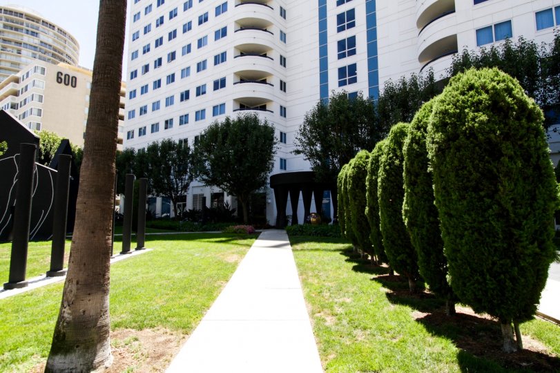 Walkway leading to Harbor Place Tower with manicured shrubs surrounding
