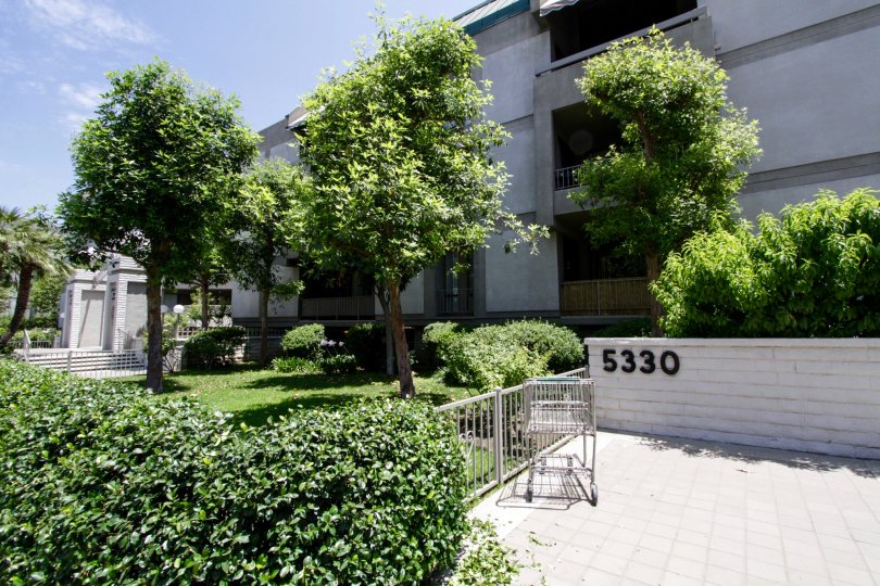 The various shrubs and trees that make up the landscaping at Encino Spa East
