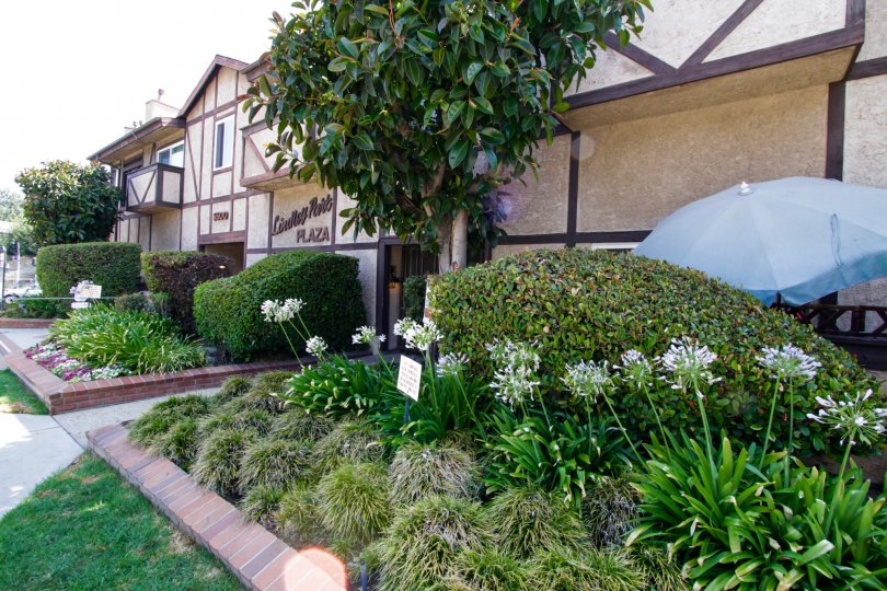 The landscaping located around Encino Park Plaza