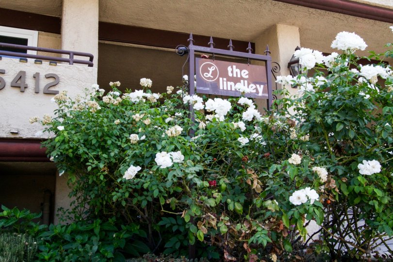 The sign pointing to The Lindley condo