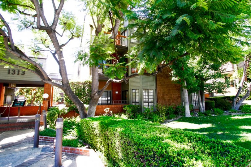 The landscaping around Hillside Manor in Glendale California