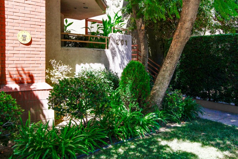 The landscaping at Loraine Townhomes in Glendale California