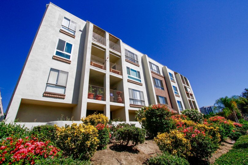 The Parkwood Townhomes building in Glendale California
