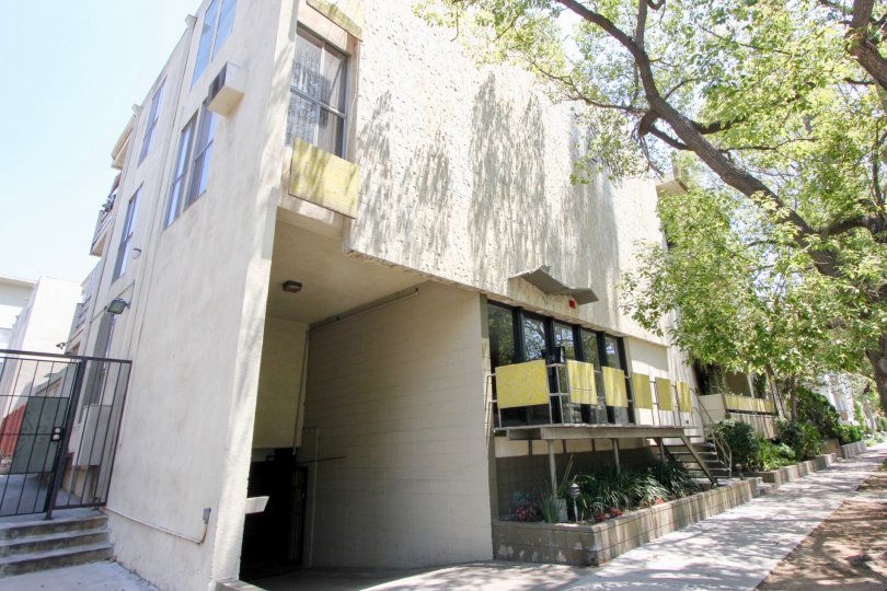Houses with ample garages and white walls in Hancock park