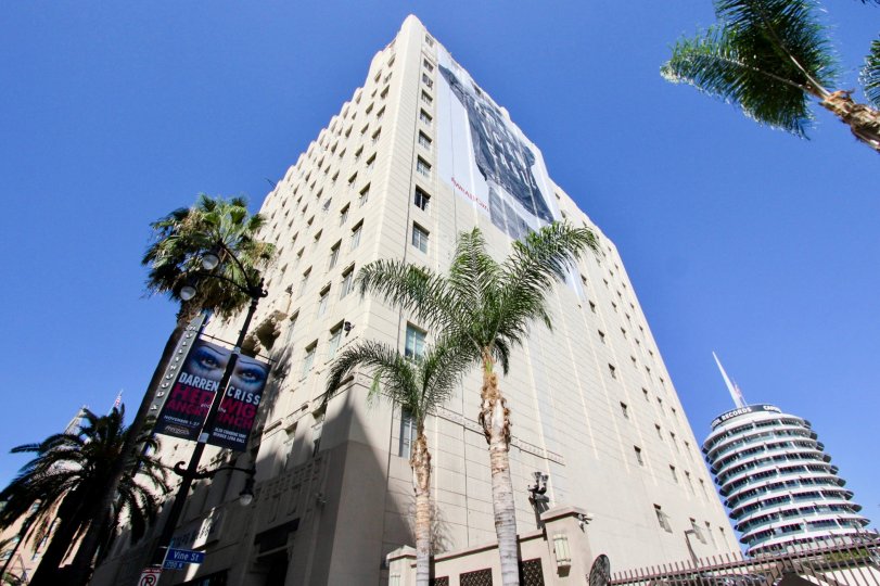 The palm trees that are seen around The Lofts at Hollywood and Vine